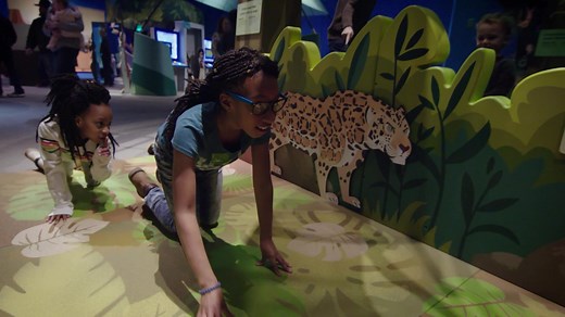 Step into the world of Wild Kratts to explore the secret lives of amazing creatures in this hands-on exhibit for the whole family. Visit mcm.org/special-exhibit-gallery/ to learn more about this special exhibit, now open through May 12. | Minnesota Children's Museum