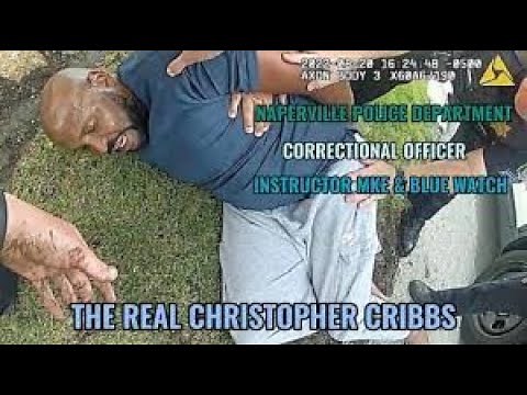 Cook County Corrections Officer Christopher Cribbs Arrested By Naperville Police Breakdown