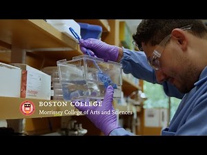 Graduate Biology Department | Boston College