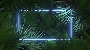 Palm Tree Light Neon Motion Background Stock Footage Video (100% Royalty-free) 1109699487 | Shutterstock
