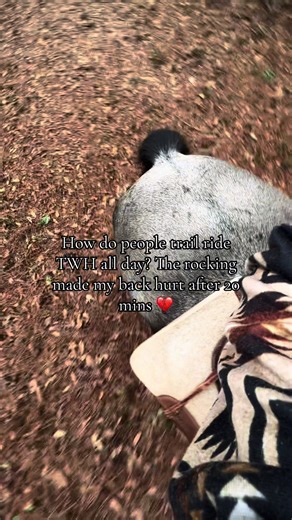 Understanding Trail Riding with Tennessee Walking Horses