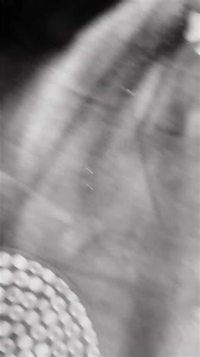 ziom zoom app download in the