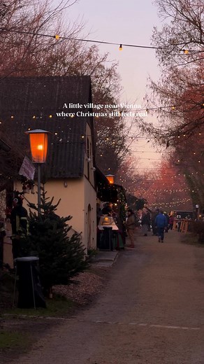 Experience Christmas Magic in Wolkersdorf, Austria