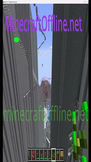 Minecraft 1.21.11 anarchy lifesteal server