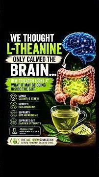 L-Theanine, Gut or Brain Tonic?