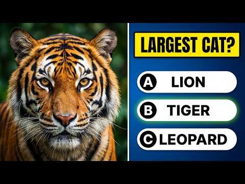 Kids General Knowledge Quiz | Gk quiz for kids | GK Questions and answers for kids | Quiz time
