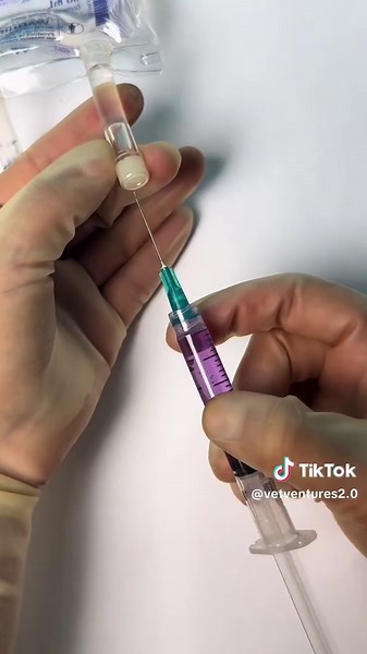 IV Bag Injection Techniques Explained for Students