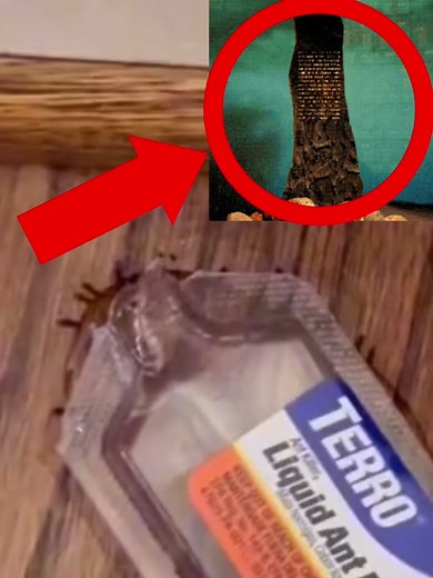 Allied Master Computer - Insect Friends Haunting Scene