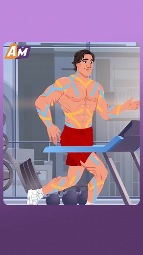 I made wings out of my own skin to save a beauty | AniMatters