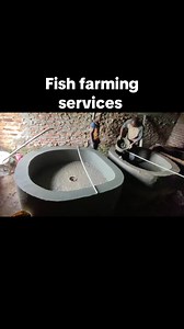 Fish Farming Services in Uganda: A Sustainable Approach
