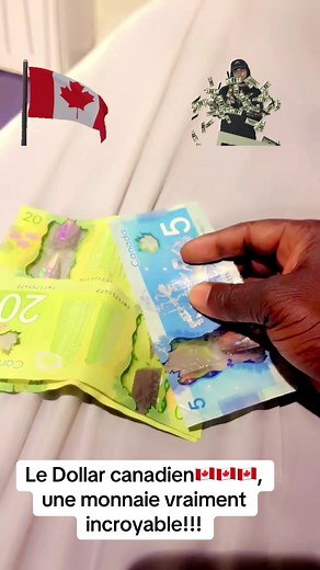 #🇲🇱223 #canada🇨🇦 #france🇫🇷 #cotedivoire🇨🇮burkinatiktok🇧🇫