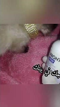 البرغوث،علاج برغوث القطط والحيوانات بصفة نهائية