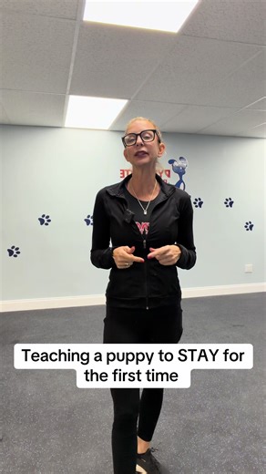 Teaching Your Puppy to Stay: A Step-by-Step Guide