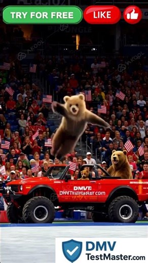 PASS YOUR DMV DRIVERS TEST, Flip Through The Test 1st Try