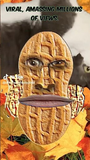 What Is Bizarre Nutter Butter TikTok #viralvideo