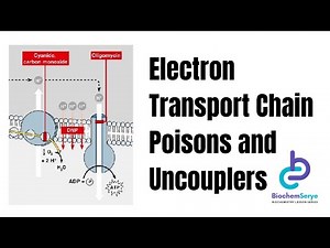 Electron Transport Chain Poisons and Uncouplers - Biochemistry