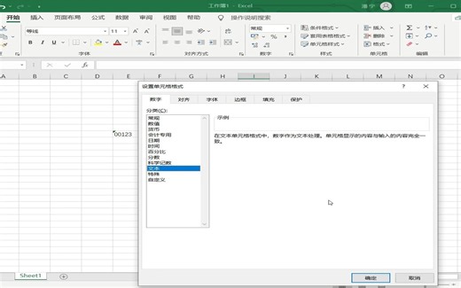Excel如何设置文本格式