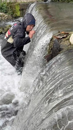 Catching a weird fish. #fypyoutube #fishing #fyp