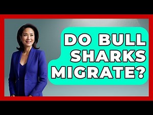 Do Bull Sharks Migrate? - The Marine Life Explorer