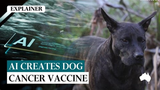 Tech boss uses ChatGPT to create cancer vaccine for his dog | Shalini Kurapati, PhD
