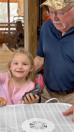 How To Eliminate Carpenter Bees In Barn! #farm #farmer #farming #cow #farmers