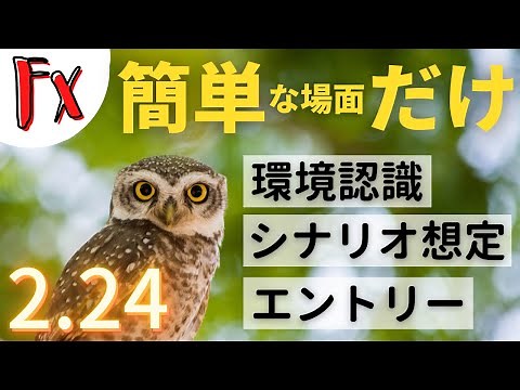【FX 初心者セミナー】 押し目買い ケーススタディ EURUSD 20210224 (字幕）