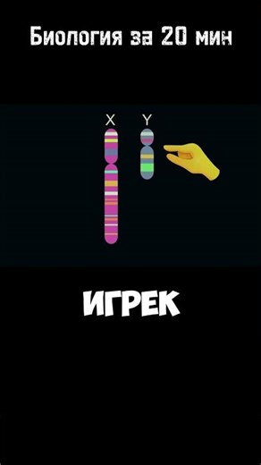 дальтонизм