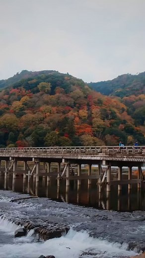 11K views · 225 reactions | One of Kyoto’s most famous scenery - Togetsu Bridge, Arashiyama Kyoto in Autumn Cre: @candiedjade | Amazing Japan | Facebook