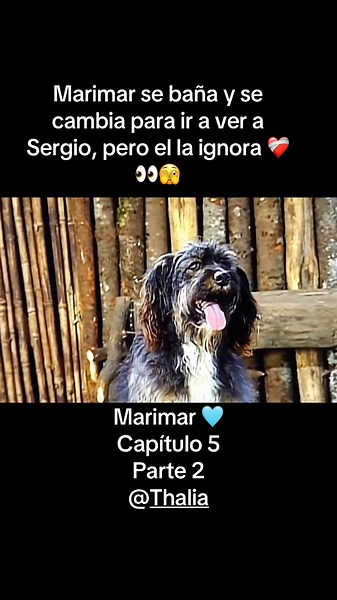 Marimar Ignorada por Sergio: Capítulo 5, Parte 2