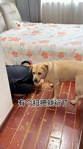 48K views · 1.2K reactions | Raising a dog that's too smart would make me look mentally retarded! #dog #petcare #pet #petlovers #animals #funny #fun #funnyvideos #doglover | Annie | Facebook