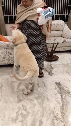 Excited to eat momos🤤😋😜🙆🏻‍♀❤😍🐕👌🏻🧿😊