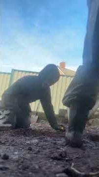 3m feather edge #fencing #landscape #shortvideo #garden #shorts