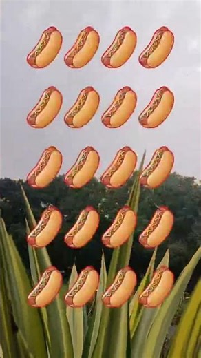 Hotdogs clam alignment ... #pauseshorts #lifestyle #hotdog