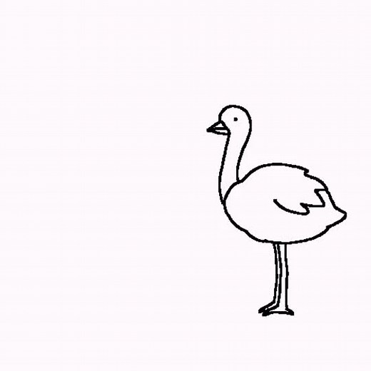 Understanding the Fascinating Ostrich Behavior