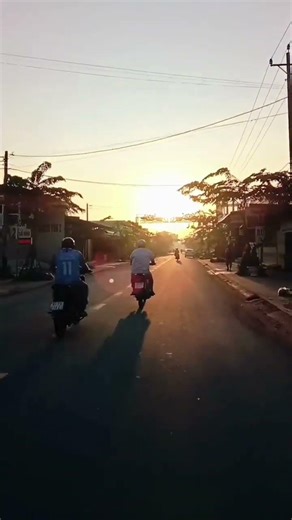 The rabbit invasion disaster in Australia.#funny#trending#youtubeshorts#trietho0689#viral#short#song