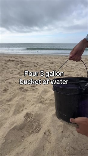 Mastering Sand Castle Sculpting Techniques