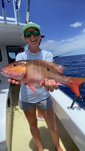 Mutton snapper, is a popular game fish known for its exceptional tablefare. Unfortunately, I couldn’t keep this one, because it wasn’t the legal limit. I am still on the search for a keeper mutton. If you have any fishing tips, please leave them in my comments below! 👇🏼 Did you know that the mutton snapper’s distribution encompasses the Western Atlantic: Massachusetts, USA and Bermuda to southeastern Brazil, including the Caribbean Sea and the Gulf of Mexico? They have an extensive population 