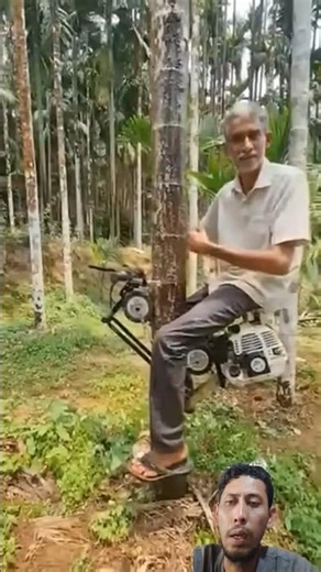 tree climbing machine #lifehacks #lifehack #diy #diyhacks