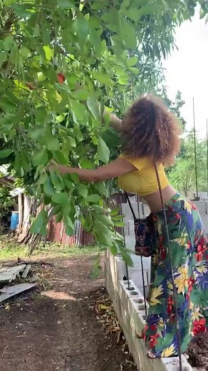 #fruit #fruits #fruitpicking #lovefruit