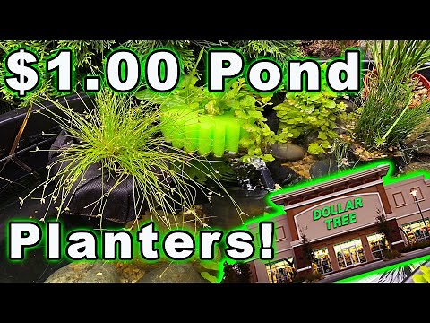 $1 **DOLLAR TREE** DIY Floating Pond Planter!!