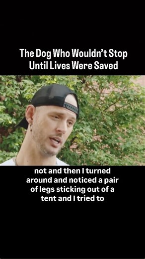 4.6K views · 110 reactions | This loyal dog noticed two people lying unconscious and refused to give up until someone listened. He barked, tugged, and kept returning until finally a passerby followed him. What they discovered was two lives hanging by a thread — and thanks to the dog’s determination, help arrived in time. | Animal Heroes | Facebook