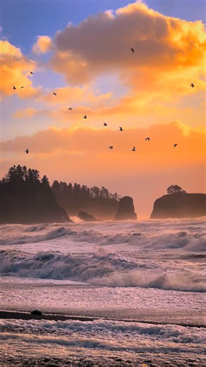 A beautiful sunset along Washington’s Coast 🌊 The Pacific Northwest has so much to see, especially this place, Rialto Beach, and the rest of Olympic National Park. This is my favorite time of year to visit this area. The consistently moody atmosphere adds to the experience, and when the light does come through, it’s absolutely incredible #pnw #pacificnorthwest #washingtonstate #cinematic #moody #sunset | Ryan Resatka