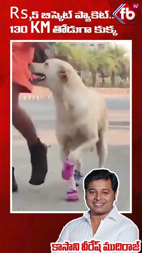 ₹5 బిస్కెట్ ప్యాకెట్‌.. 130 KM తోడుగా కుక్క. #shorts | FBTV NEWS