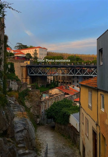 Little moments from my favourite European city 😍 It feels like everywhere you look in Porto, it’s postcard-perfect Don’t miss these Porto hotspots: ✨Dom Luís I Bridge - majestic views across the river ✨The Ribeira - beautiful and brightly painted riverside area ✨Rooftop Bars of Villa Nova de Gaia - famous port tasting with epic views ✨The Palácio de Cristal Gardens - unique secluded gardens ✨The Guindalense Futebol Clube - hidden gem with cheap beers and riverside views 📍 Porto, Portugal #port
