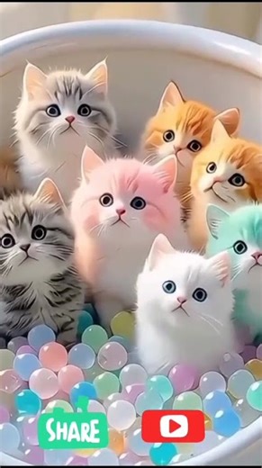 Powerful AI Voice Motivation | Must Watch ✨