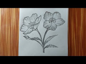 Realistic Flower Pencil Drawing | Easy Step by Step Flower Sketch for Beginners