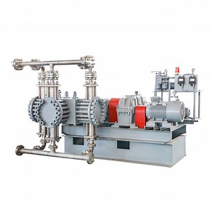 [Hot Item] Double Diaphragm Leak Free High Pressure Diaphragm Reciprocating Pump