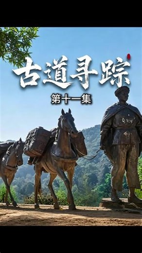 第十一集 古道寻踪 茶马古道一途，如何横贯滇藏千年？ #历史 #人文历史 #纪录片 #茶马古道 #非文化物质遗产