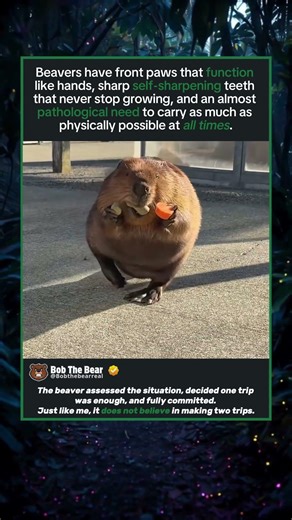 Maximum Efficiency. Zero Shame.