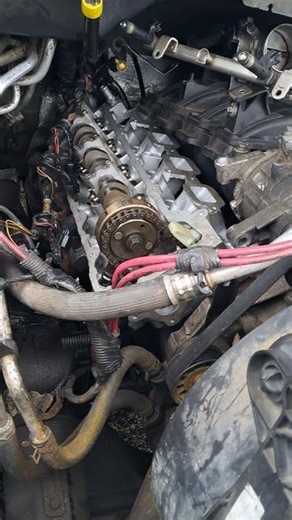 2007 dodge durango 4.7 v8 timing chain now on #viral #training #viralvideo #livestream #beautiful